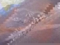 Photograph of Nailah Hughes