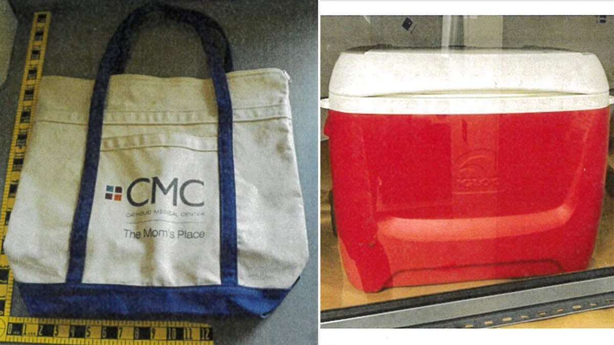 Una bolsa de maternidad blanca y azul junto a una hielera roja con una blusa blanca.