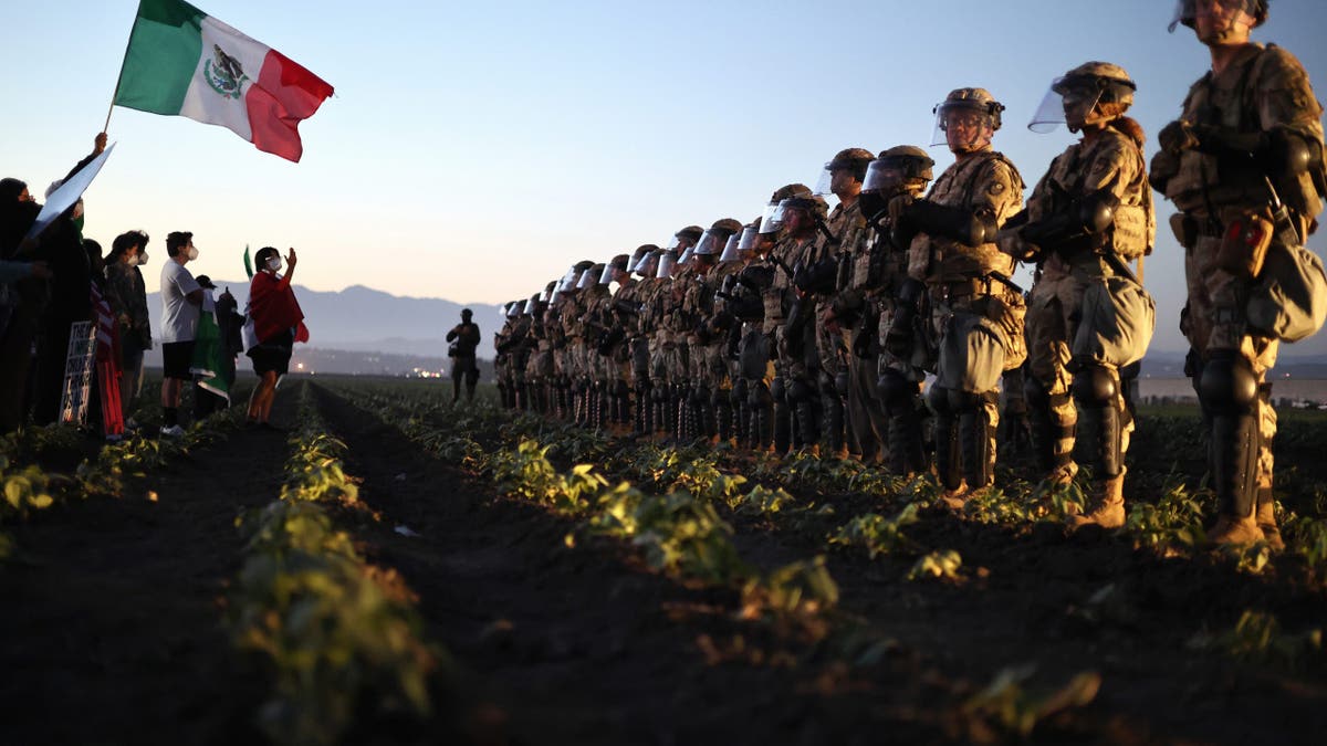 Tropas de la Guardia Nacional bloquean a los manifestantes de una redada de ICE en una granja de cannabis cercana en California.