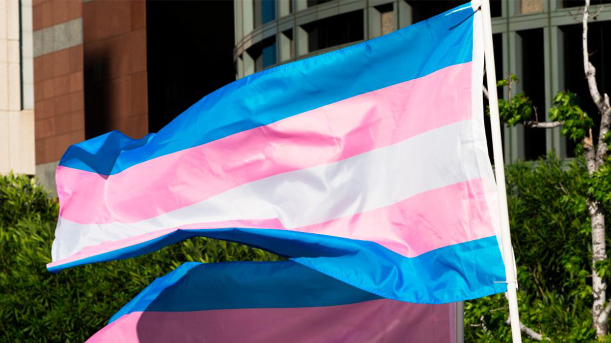 Bandera transgénero cuidado de afirmación de género