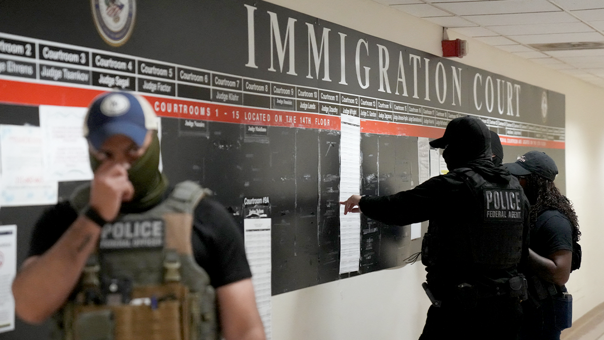 agentes de ice